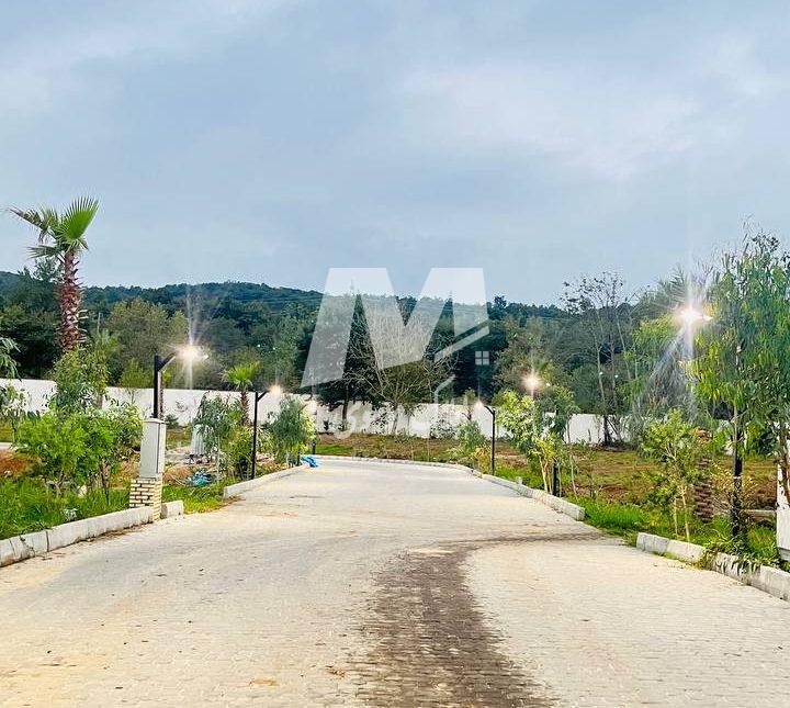 فروش زمین ۲۷۰ متری سند دار سیسنگان نوشهر | ۶۰۰ متر