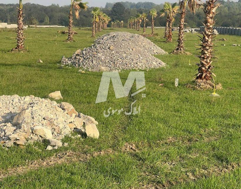 فروش زمینهای سرمایه گذاری ۲۵۰ متری سند دار | ۲۸۰ متر