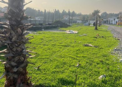 فروش زمینهای سرمایه گذاری ۲۵۰ متری سند دار | ۲۸۰ متر