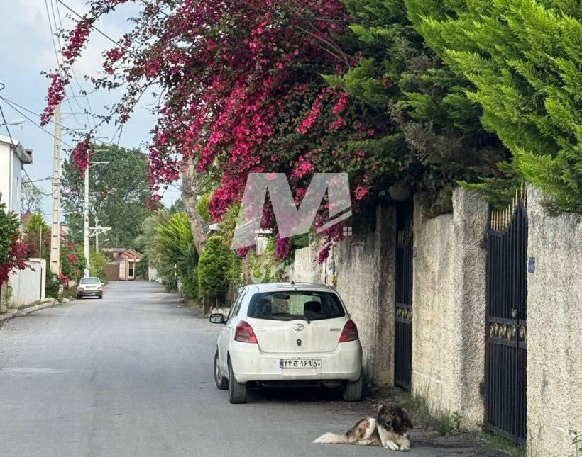 خرید ویلا نیم پیلوت دسترسی 220 متر زمین الیمالات نور | 220 متر