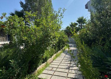 خرید ویلا استخردار مدارک تکمیل 550 متری نعمت آباد چمستان | 550 متر