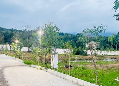 خرید زمین آماده ساخت ۴۰۰ متری در نعمت آباد چمستان | ۴۰۰ متر