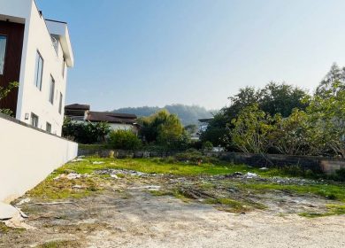 فروش زمین شهرکی ۵۰۰ متری در اسپی کلا چمستان | ۵۰۰ متر