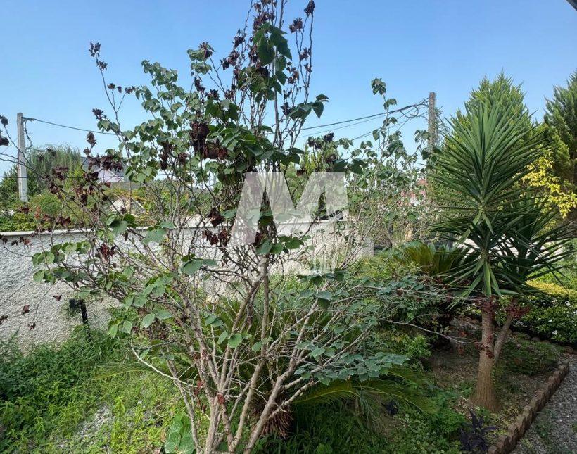 خرید ویلا ویو ابدی مدارک تکمیل 270 متری گنجیاب نور | 270 متر