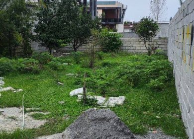 خرید زمین شهرکی ۲۵۰ متری در جوربند چمستان | ۲۵۰ متر