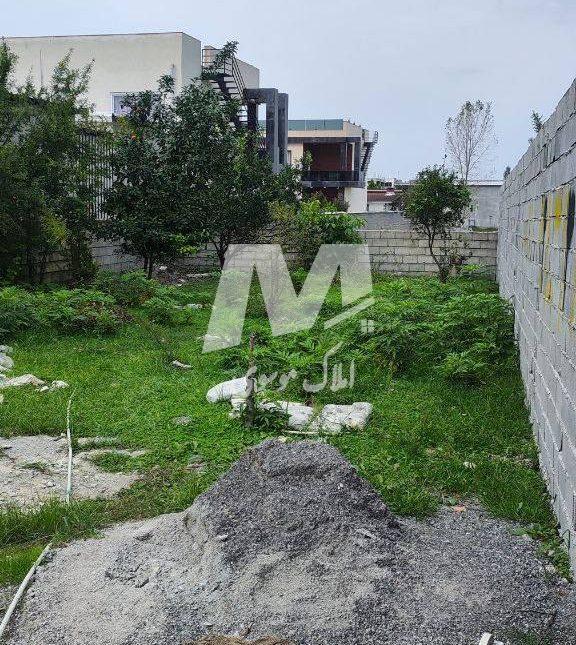 خرید زمین شهرکی ۲۵۰ متری در جوربند چمستان | ۲۵۰ متر