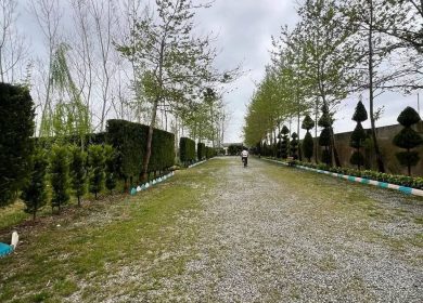 فروش زمین 200 متری تاپ لوکیشن چمستان منطقه همصفا | 200 متر