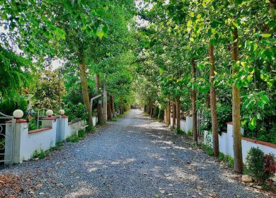 خرید زمین در شمال ۴۰۰ متری شهرک‌ برند جنگلی | ۴۰۰ متر