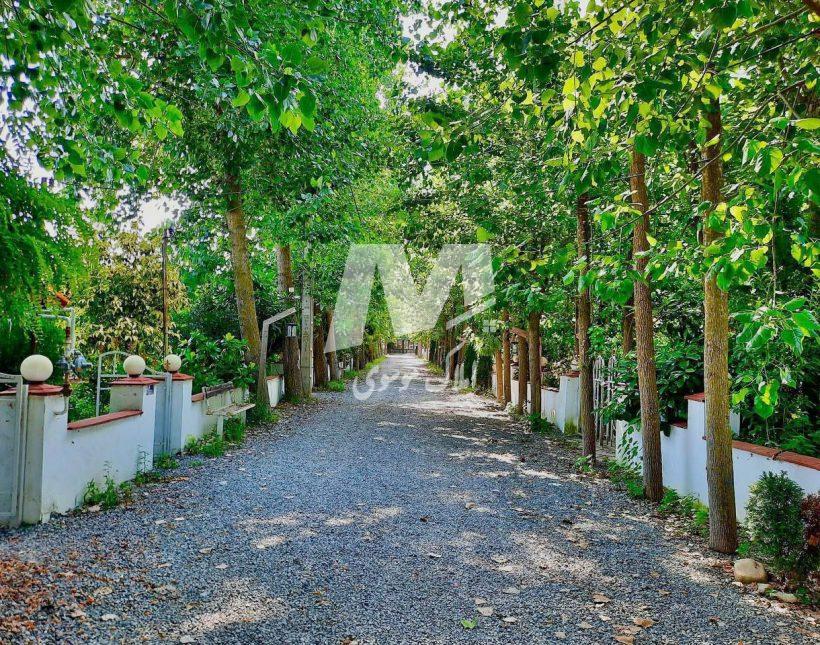 خرید زمین در شمال ۴۰۰ متری شهرک برند جنگلی | ۴۰۰ متر