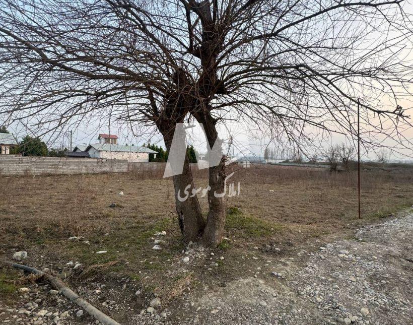 خرید زمین داخل بافت ویو ابدی 1800 متری آهودشت چمستان | 1800 متر