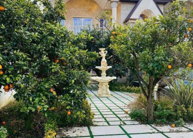 فروش باغ ویلا مبله کامل 440 متری منطقه نعمت آباد چمستان | 440 متر