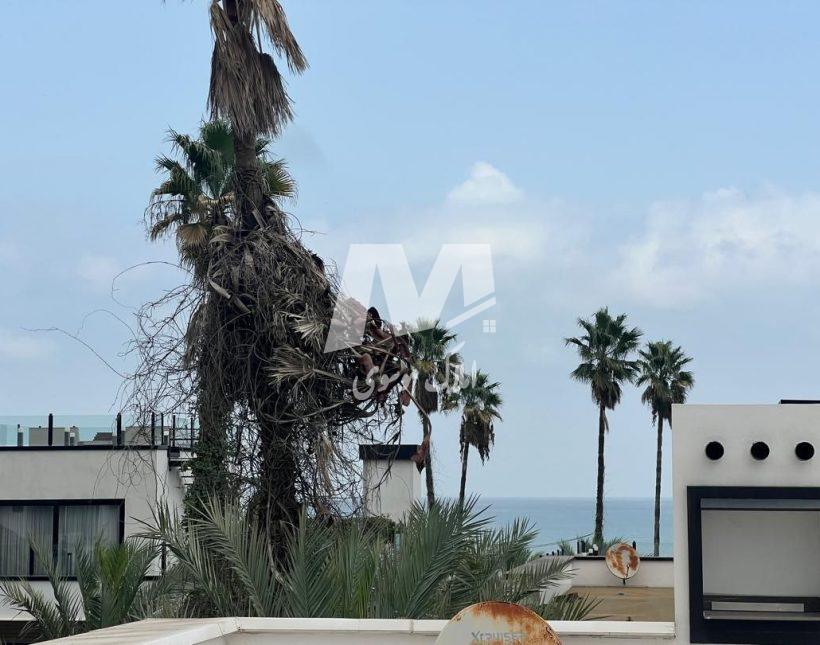 باغ ویلا 550 متری استخردار مدارک کامل تاپ لوکیشن منطقه چلک نوشهر | 550 متر