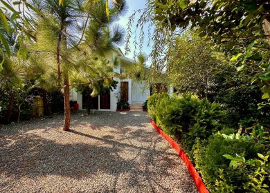 خرید ویلا در چمستان بهدشت ۲۵۰ متری با سالن بزرگ | ۲۵۰ متر