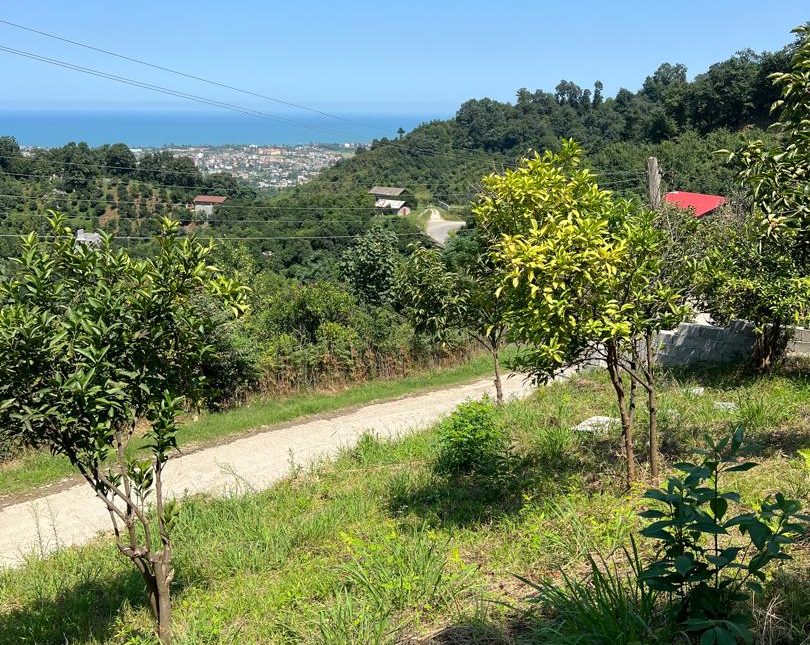 فروش زمین با موقعیت عالی در رامسر زیبا | 255 متر