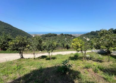 فروش زمین با موقعیت عالی در رامسر زیبا | 255 متر