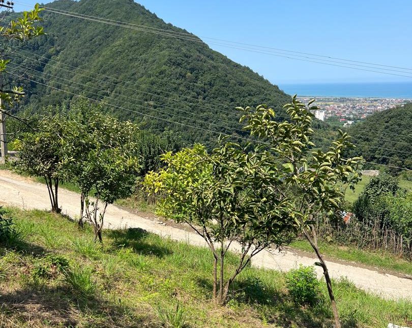 فروش زمین با موقعیت عالی در رامسر زیبا | 255 متر