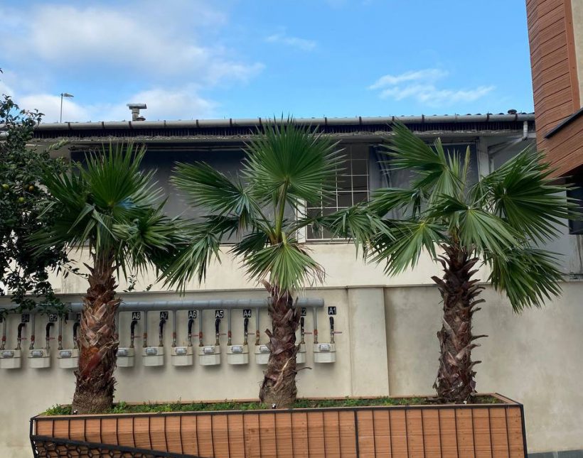 فروش واحد لاکچری در لوکیشن تاپ رامسر | 0 متر