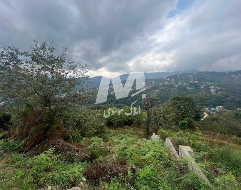 فروش زمین در منطقه گردشگری اربکله رامسر | 498 متر