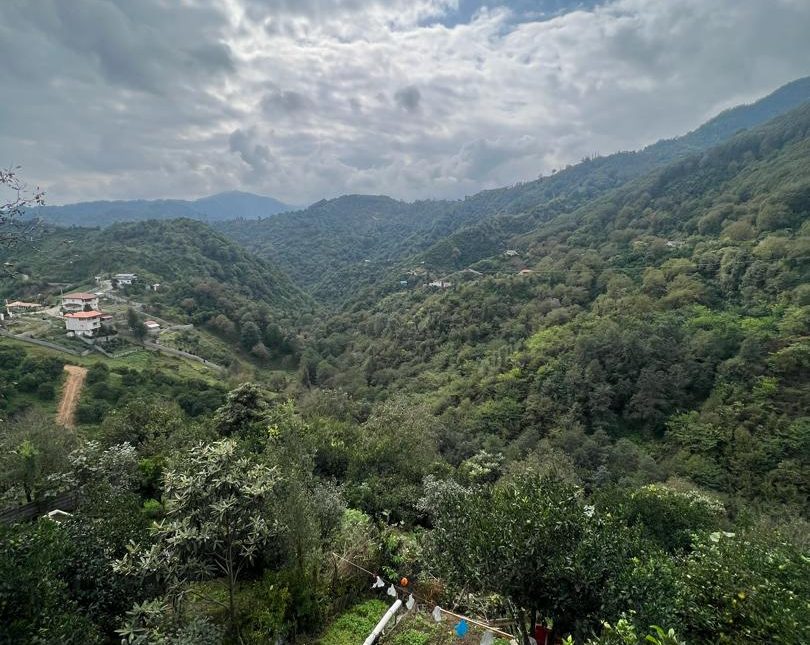 فروش زمین با بنای مسکونی در پتک رامسر | 900 متر