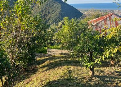 فروش قطعه 147 متری با چشم انداز همه جانبه در رامسر زیبا | 147 متر