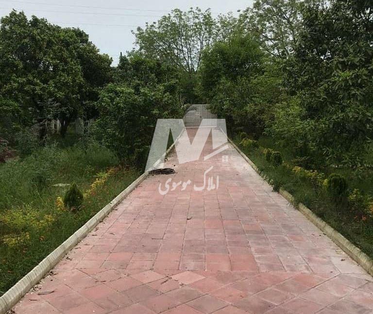 فروش ویلا باغ 1000 متری پلاک یک جنگل چلک نوشهر | 1000 متر
