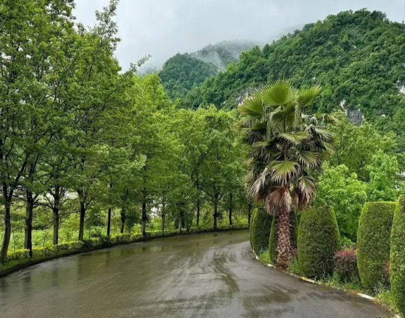 خرید ویلا جوربند چمستان ۳۰۰ متری مدرن استخر داخلی | ۳۰۰ متر