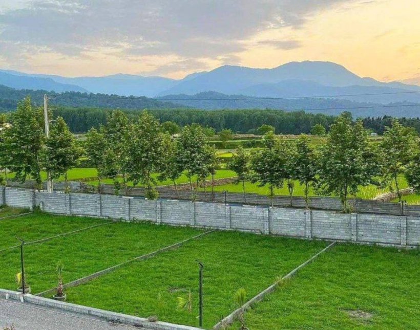 خرید زمین جوربند چمستان ۲۲۰ متری شهرک برند جنگلی | ۲۲۰ متر