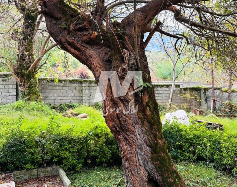 خرید ویلا باغ کلاسیک ۴۰۰ متری مبله کامل منطقه جنگلی نور | ۴۰۰ متر