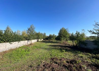 فروش زمین قیمت مناسب در منطقه سادات شهر رامسر | 1230 متر