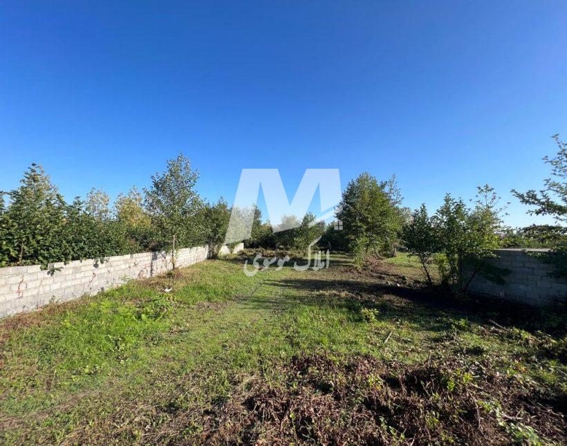 فروش زمین قیمت مناسب در منطقه سادات شهر رامسر | 1230 متر