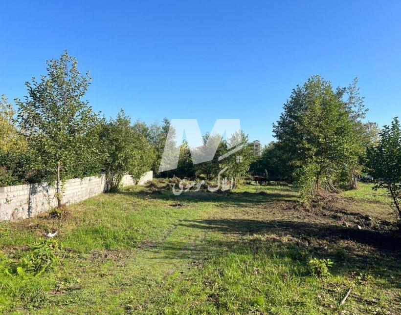 فروش زمین قیمت مناسب در منطقه سادات شهر رامسر | 1230 متر