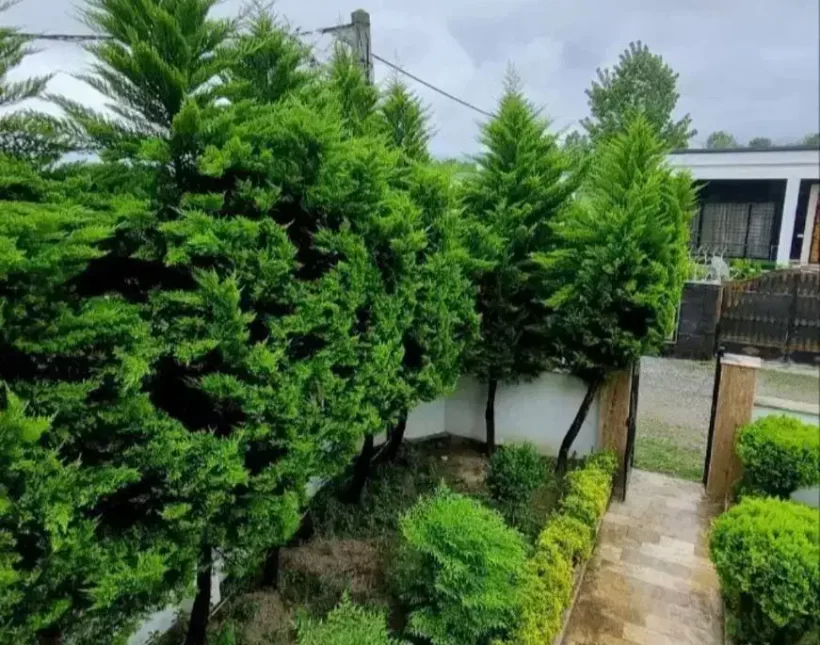 فروش کاخ ویلا سند دار و مستقل نور | ۲۷۰ متر