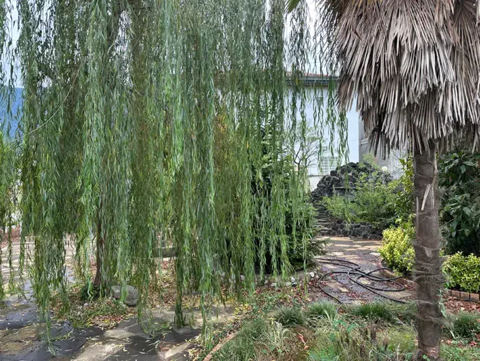 فروش ویلا باغ ۴۵۰ متری استخردار و فول فرنیش چمستان | ۴۵۰ متر