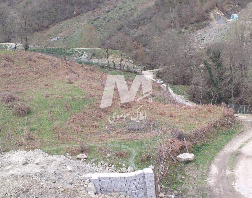 فروش زمین با متراژ ۷۷۷۱ متر منطقه ییلاقی لاویج چمستان | ۷۷۷۱ متر