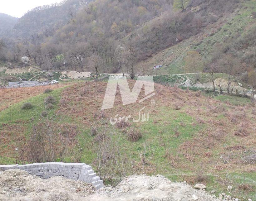 فروش زمین با متراژ ۷۷۷۱ متر منطقه ییلاقی لاویج چمستان | ۷۷۷۱ متر