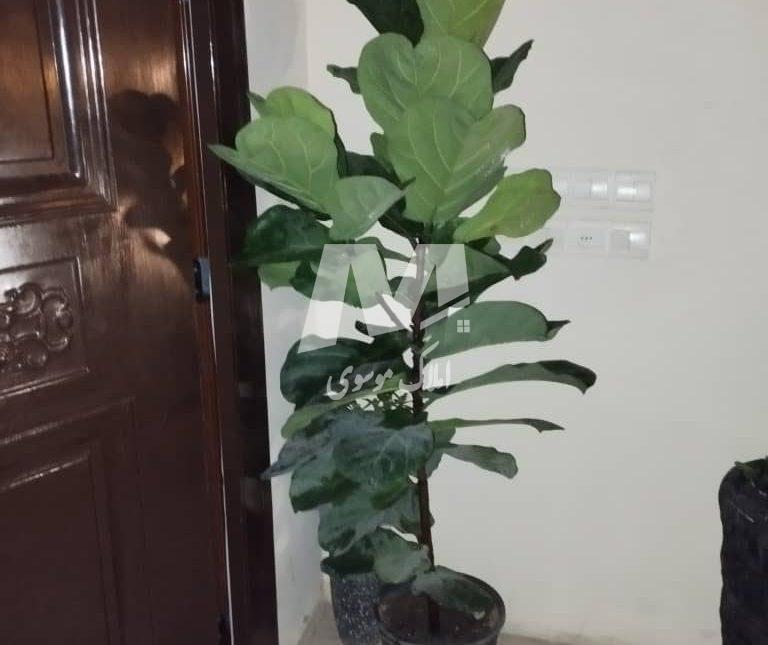 فروش آپارتمان نور ۲ خواب سند تک برگ دسترسی به مراکز خرید | ۰ متر