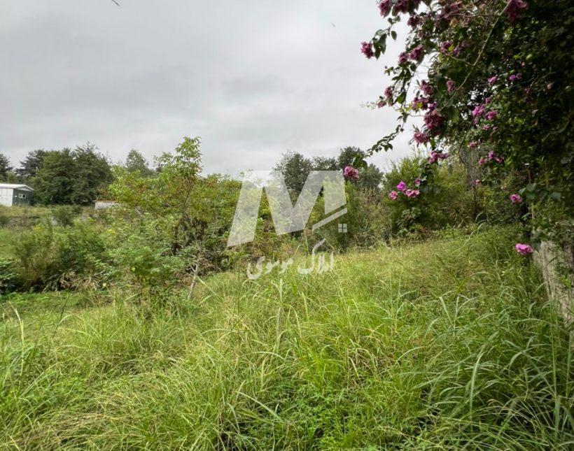 فروش زمین پلاک یک جنگلی قطعات از 180متر به بالا نعمت آباد چمستان | 750 متر