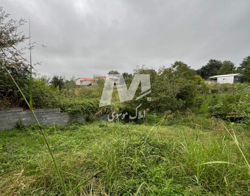 فروش زمین پلاک یک جنگلی قطعات از 180متر به بالا نعمت آباد چمستان | 750 متر