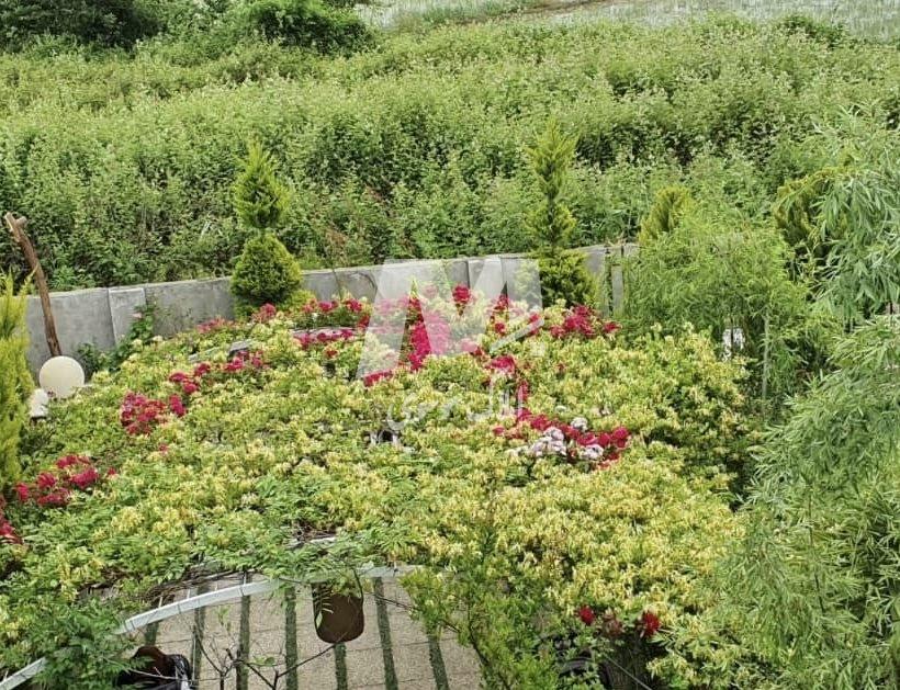 فروش ویلا ۶۵۰ متری سند دار لوکس و شهرک برند رویان | ۶۵۰ متر