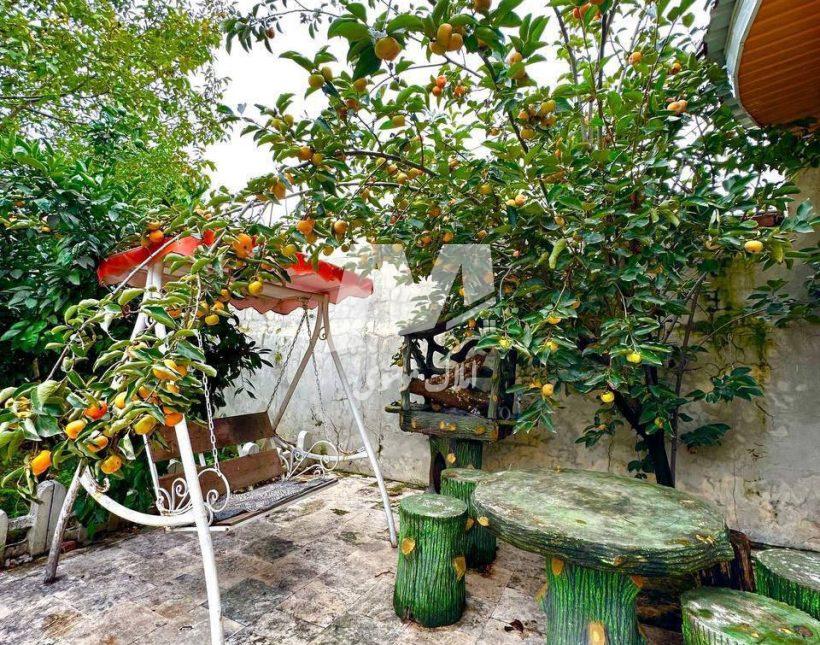 باغ ویلای سرسبز ۲۸۰ متری امیرآباد فول مبله کامل سند تک برگ | 280 متر