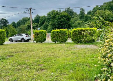 خرید قطعه ۲۵۰ متری زمین منطقه جنگلی چمستان | ۲۵۰ متر