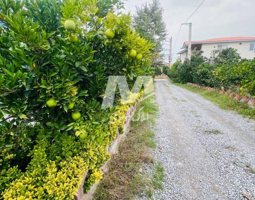 خرید زمین پلاک ۲۵۰ متری شهرکی سرسبز انشعابات نصب | 250 متر