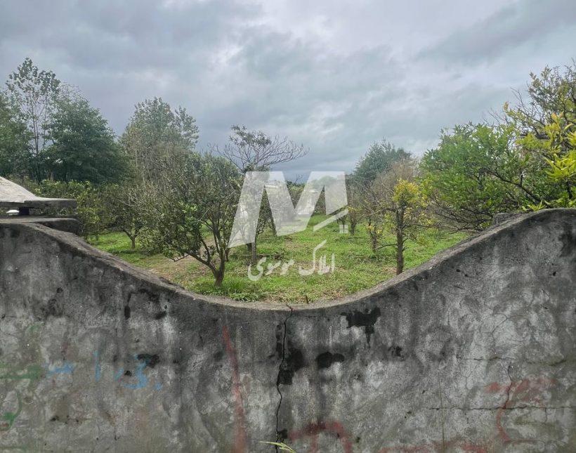 خرید زمین باغی ۱۶۰۰ متری خارج بافت در لاویج چمستان | ۱۶۰۰ متر