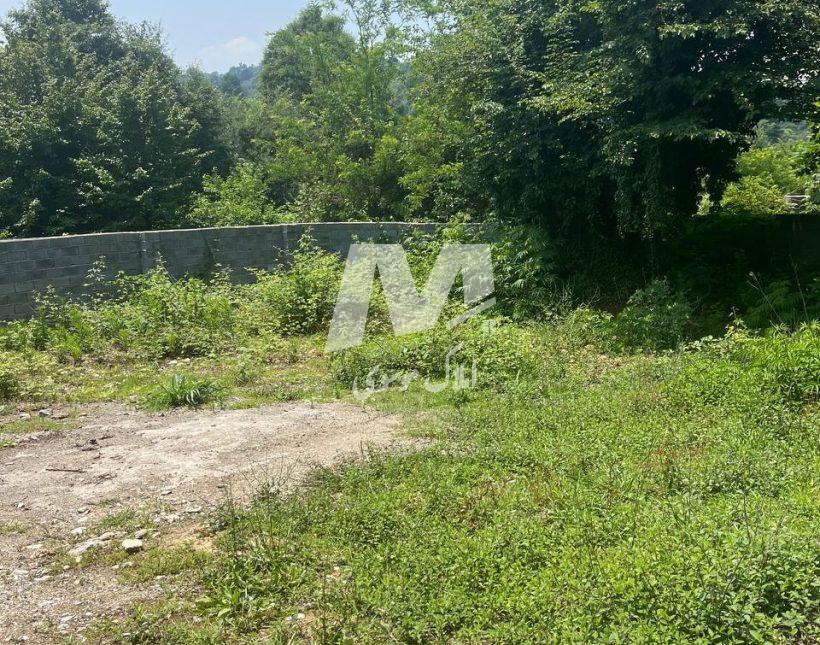 خرید زمین ۶۰۰ متری قطعه یک جنگل در نعمت آباد چمستان | ۶۰۰ متر