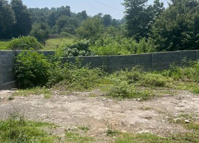 خرید زمین ۶۰۰ متری قطعه یک جنگل در نعمت آباد چمستان | ۶۰۰ متر