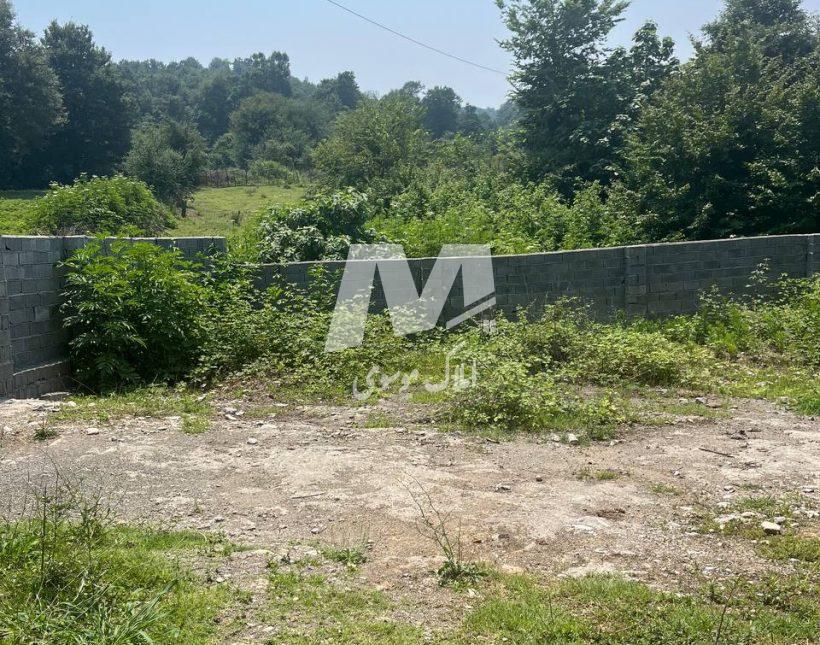 خرید زمین ۶۰۰ متری قطعه یک جنگل در نعمت آباد چمستان | ۶۰۰ متر