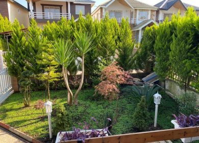 خرید ویلا مبله قطعه یک جنگل در الیمالات نور | ۳۰۰ متر