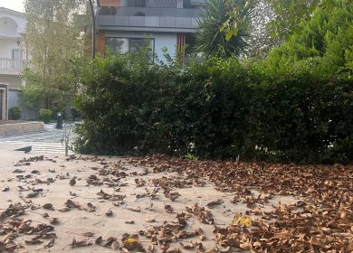 خرید ویلا باغ ۶۷۰ متری شیک در امیر آباد چمستان | ۶۷۰ متر