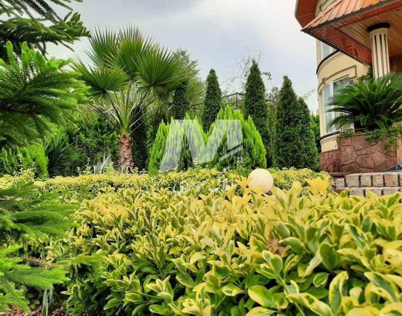 خرید ویلا باغ 1000 متری با استخر و زمین فوتبال | 1000 متر