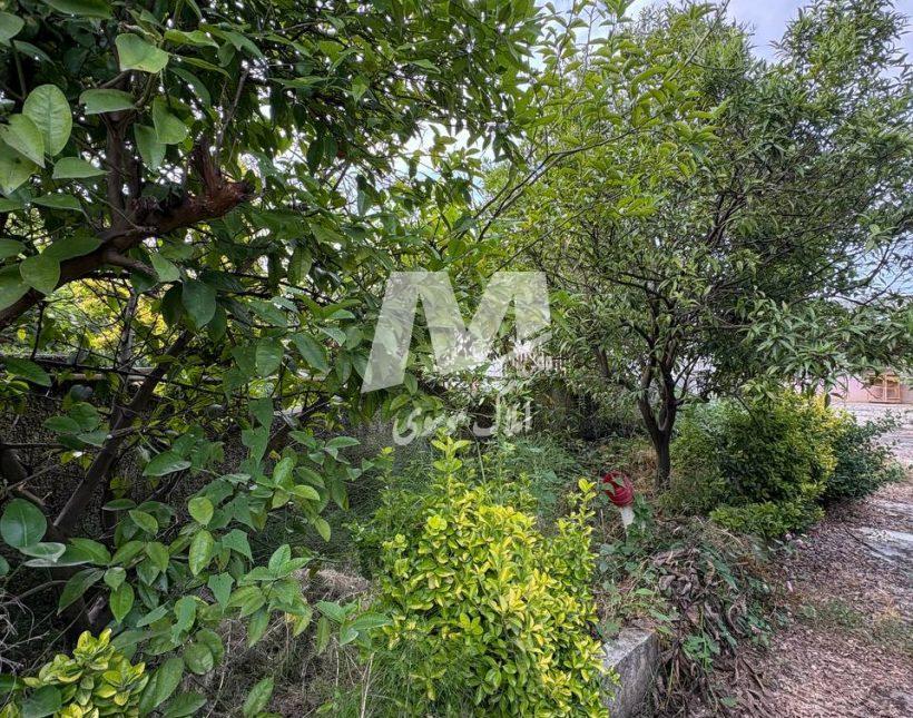 فروش ویلا کلنگی نوشهر لتینگان | ۴۶۰ متر